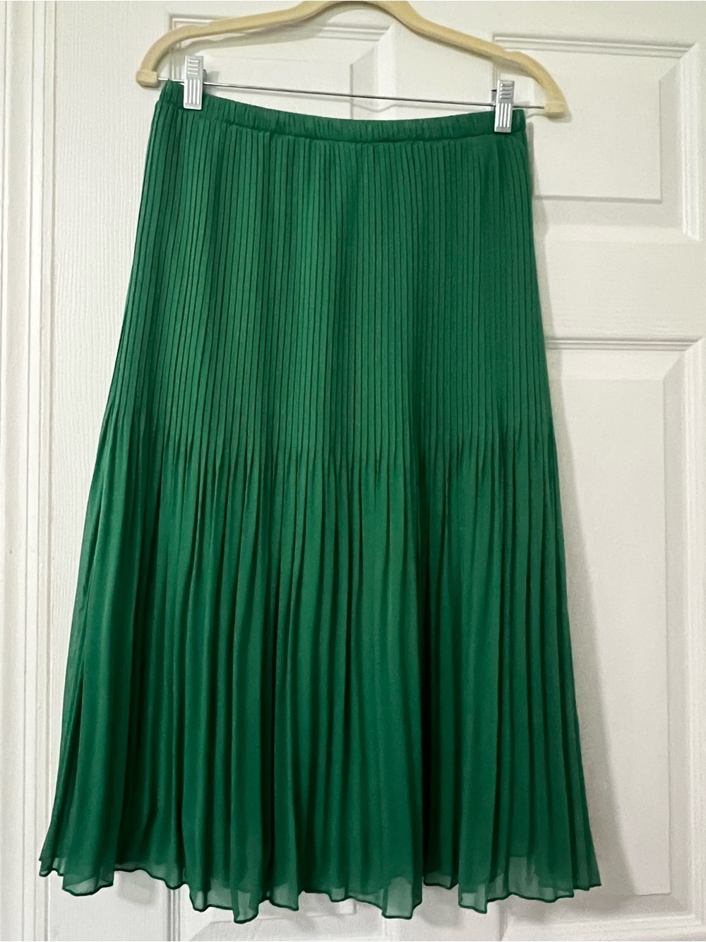 Truly Me Women’s 8 Green Solid Chiffon Polyester Pleated Midi Pull On Skirt